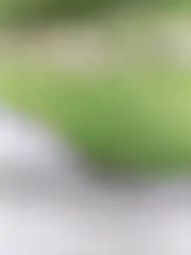 Necroforo live sex cam