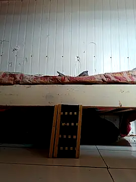 frotasso's cam snapshot