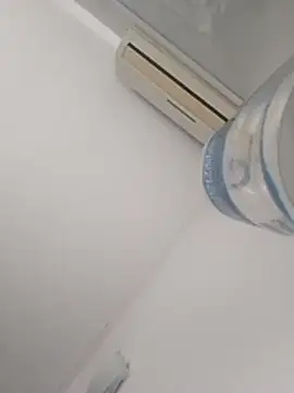 lauflor's cam snapshot