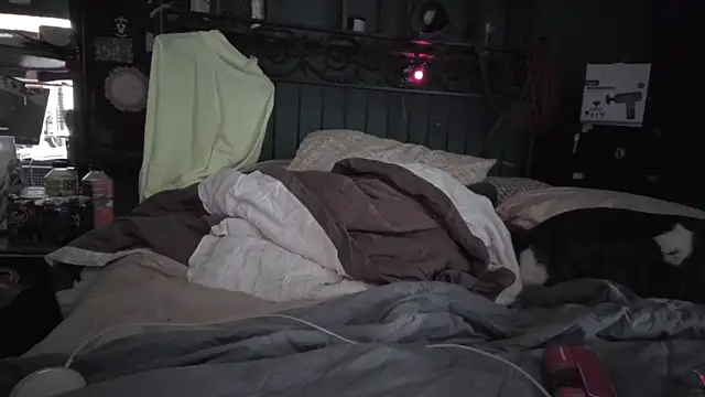 charactrzero live sex cam