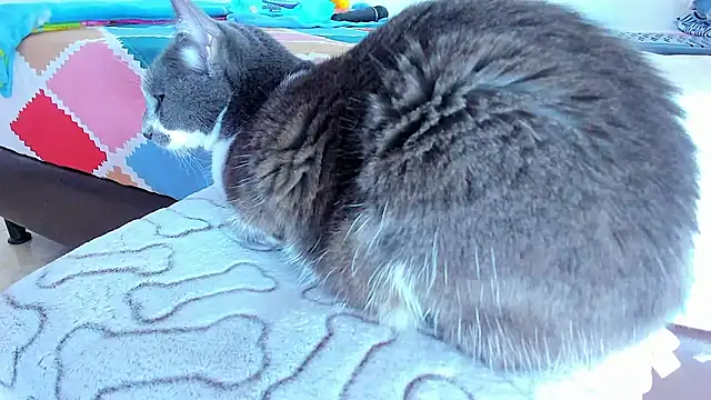 Sexyboy_666 live sex cam