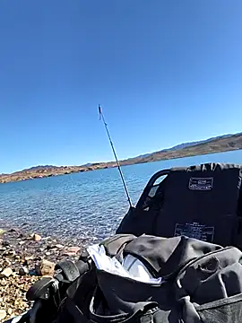 FloppyPickle4u live sex cam