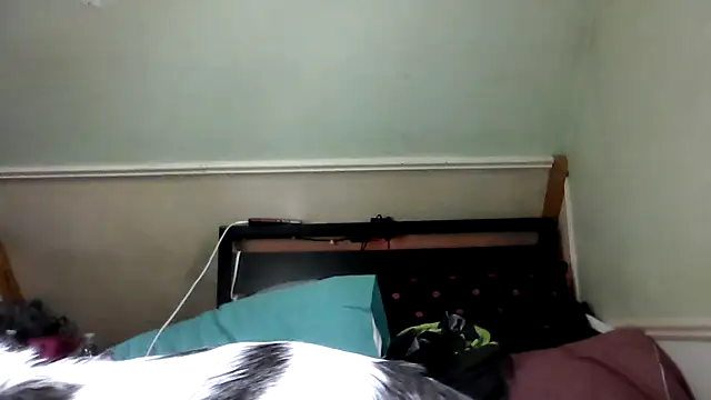 DallaStone live sex cam