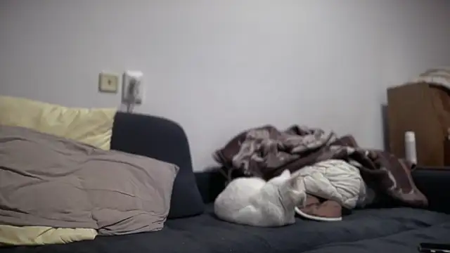 Aphr0ditee's cam snapshot