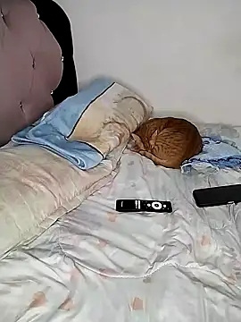 Pussycat_9999 live sex cam