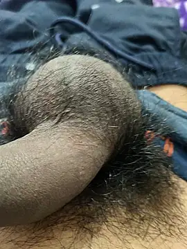 _Stripchat_Owner_ live sex cam