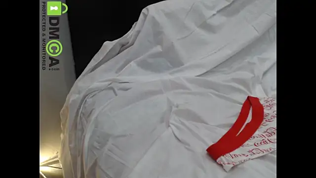 Hazel-Heer's cam snapshot