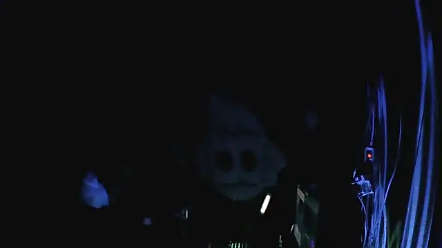 perversalus live sex cam