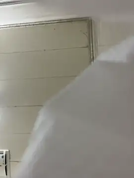 abella1116 live sex cam