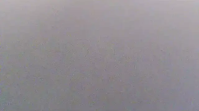 sissytrapdolly24 live sex cam