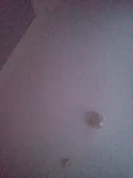 freakylittlebitch69's cam snapshot