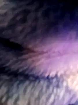 Amyhotmilf live sex cam