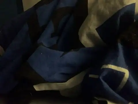 GeilerHSVFAN1989's cam snapshot