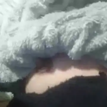 Razan2024's cam snapshot