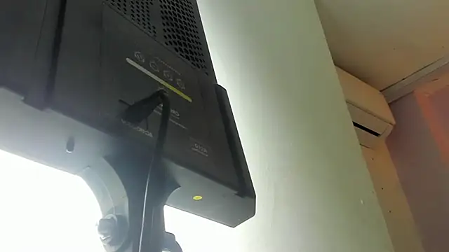 Darwin_mayo's cam snapshot