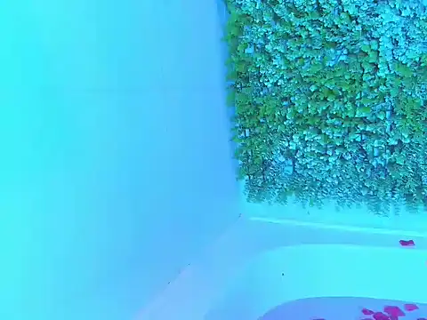 CurvaDorada_noa's cam snapshot