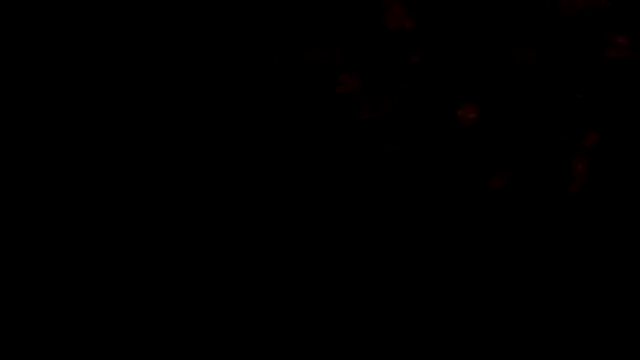 Dollperverthot live sex cam