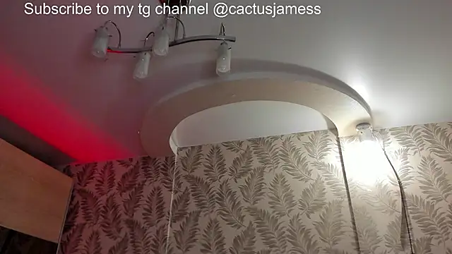 Cactus__James's cam snapshot