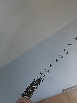 bogland33 live sex cam