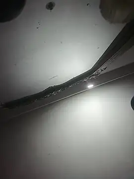 momo_loves's cam snapshot