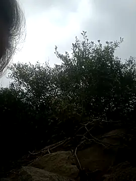 Dina20's cam snapshot