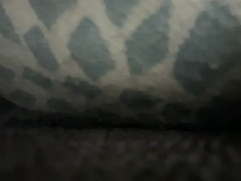 _my_ass_ live sex cam