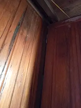 dakota-kis's cam snapshot