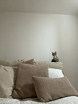 Gia_Ferh live sex cam