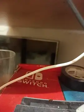 skrigul12 live sex cam