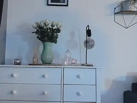 Kootek's cam snapshot