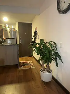 sukhakunis1 live sex cam