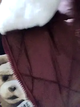 Sinejdk3's cam snapshot