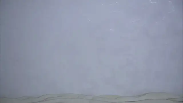 VeronaAppleberry live sex cam