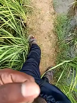 dolphiinn live sex cam