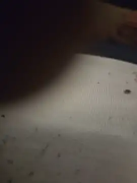 XLstrong's cam snapshot