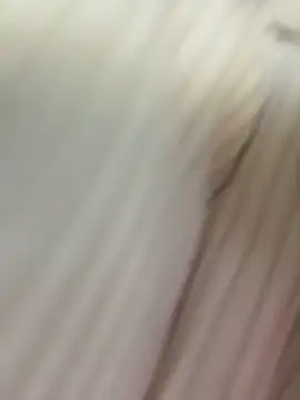 AllaTousNew live sex cam