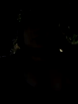 Celeem_ live sex cam