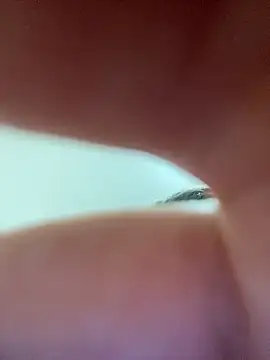 Casadadelicia26 live sex cam