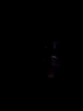 fadinha66's cam snapshot