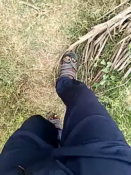 dolphiinn live sex cam