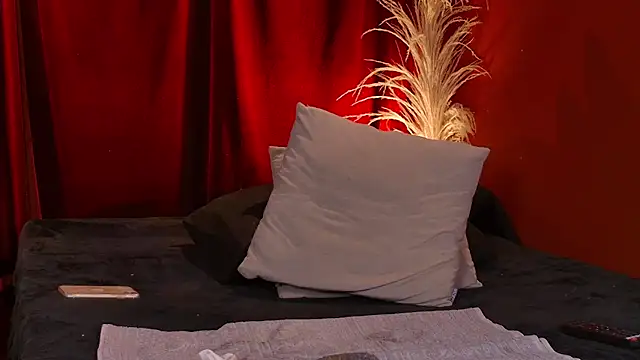 VicenteFerrer's cam snapshot