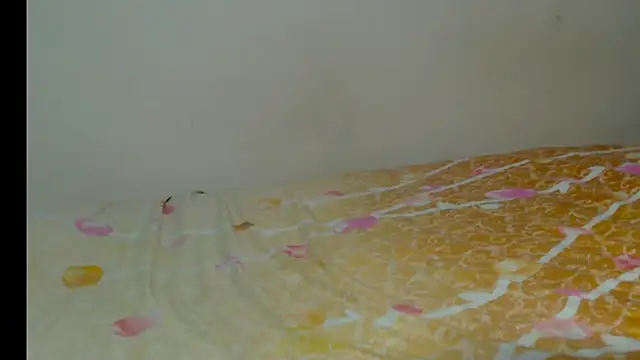 arianna_ros3 live sex cam