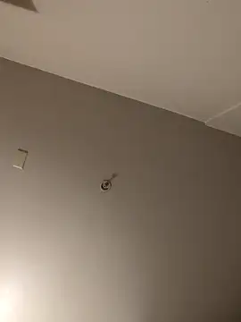 lit702's cam snapshot