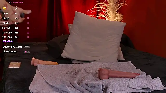 VicenteFerrer's cam snapshot