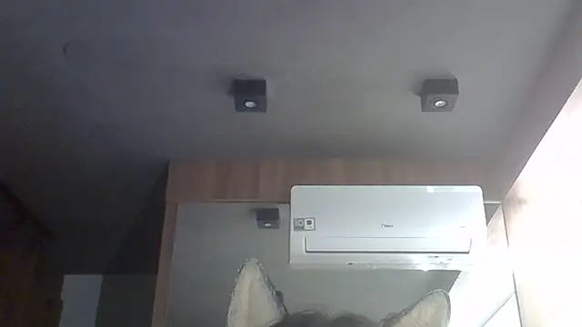 SkinnyKitten live sex cam