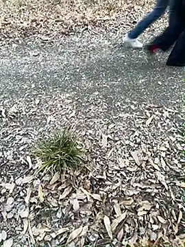 SL_NIKI_PUBLIC live sex cam