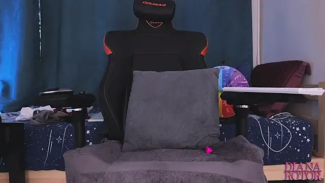 diana_rotor's cam snapshot