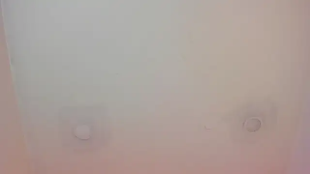 tachala_ live sex cam