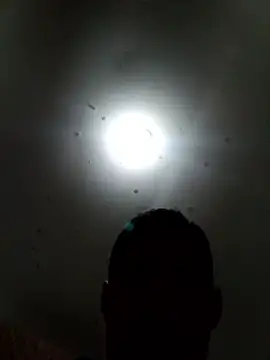 Innsaciable's cam snapshot