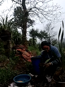 nelina_12345's cam snapshot